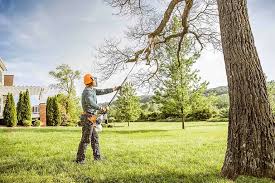 Best Weed Control  in Winton, CA
